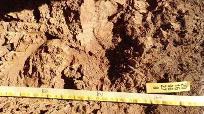 THE HuGO is a well-drained soil that has a sandy clay loam subsoils.