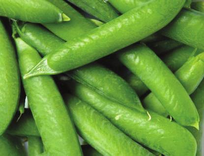 Fresh green peas should be refrigerated to keep their sugar from turning to starch making them less sweet. Trim the stem from the snow peas prior to cooking.