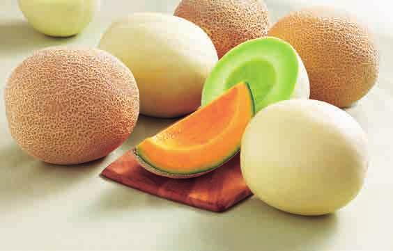 Cantaloupe or Honeydew Melons