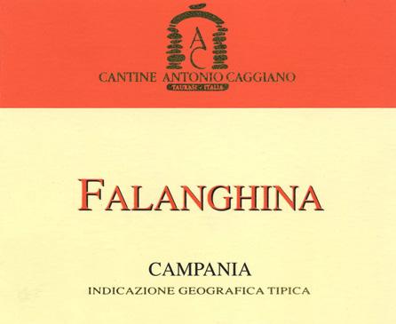 Falanghina Appellation: FALANGHINA CAMPANIA IGT Zone: Torrecuso (Province of Benevento) Vineyard extension (hectares): 1.