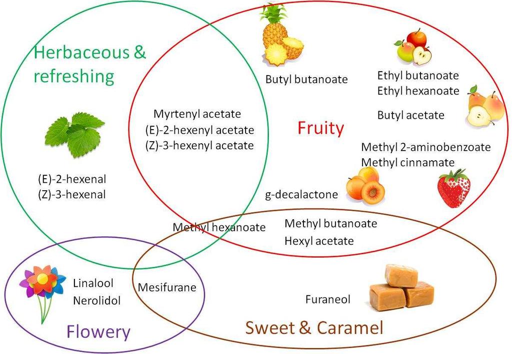 Introduction: Aroma Strawberry fruit quality Organoleptic quality: aroma Complex mix of hundreds of compounds.
