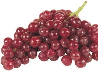 Red Grapes Silver