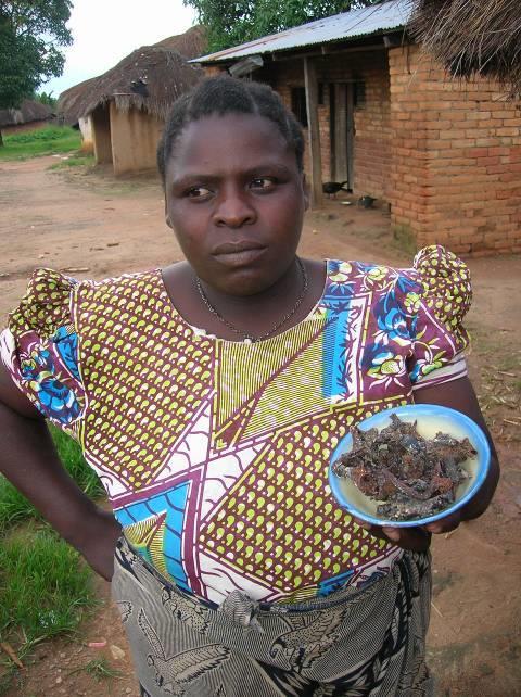 Fig. 8. Woman at Hulia village is showing her dried mushrooms. Mould fungi (white spots) are visible on the dried mushrooms. 4.