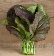 Heavily curled, frilly bright green leaves are great for salad mixes.