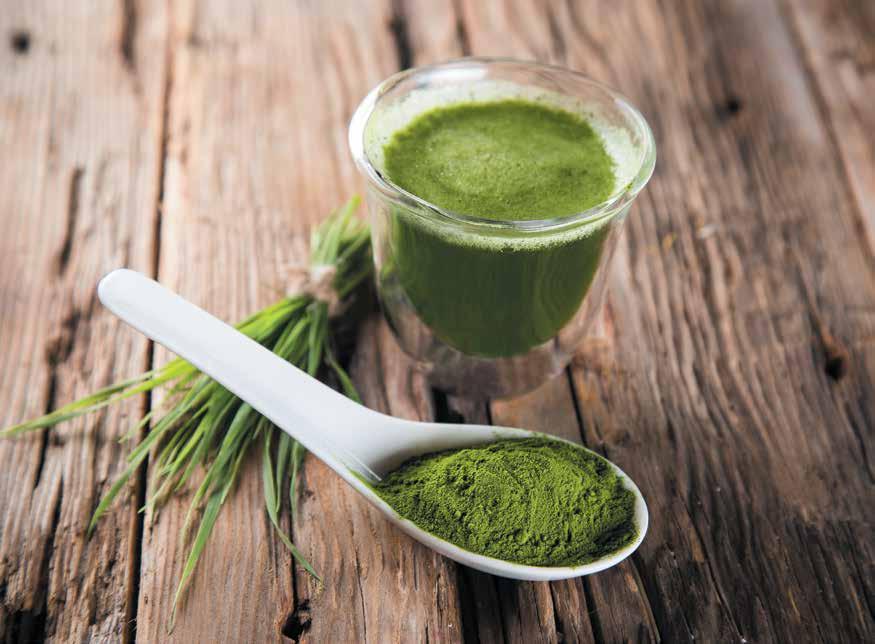when you drink high quality wheatgrass juice your body may prouduce great results such as a stronger immune system Sprouts such as wheatgrass, radish sprouts, alfalfa, and vegetables such as chives
