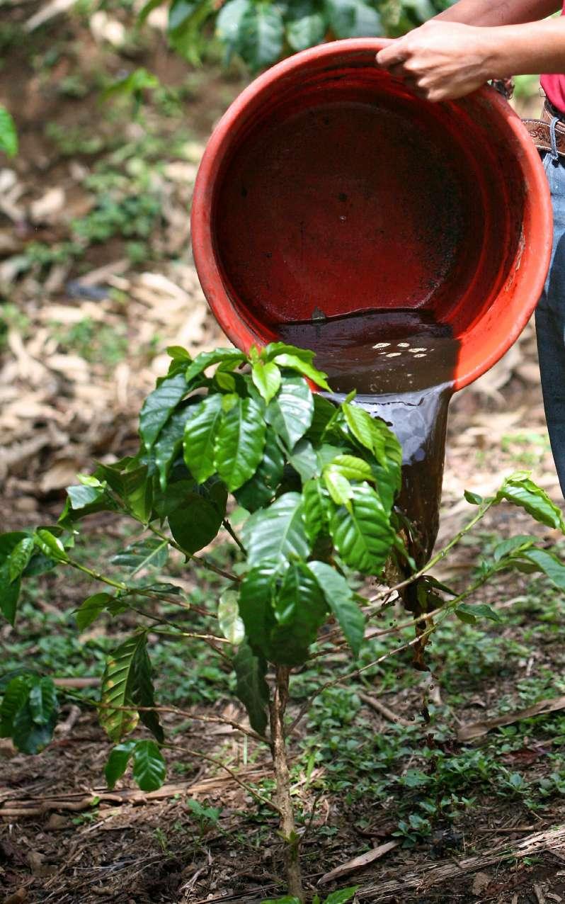 This also resulted in increased profitability of all coffee produced; it was measured, that after nine years of Fairtrade certification there was a 26% reduction in pesticide use and 58% in