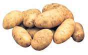 Limit Bag, Please Russet Potatoes US # Green