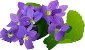 Orchids & violets are purple too, get some for me and some for you!