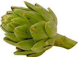 Name: Artichokes The artichoke is an edible thistle flower bud which is eaten before it opens. Artichokes can be quite large growing from 3 to 4 feet tall.