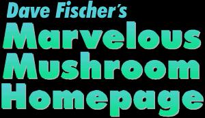 Dave Fischer's Marvelous Mushroom Website Hello! I'm Dave Fischer, co-author of two mushroom books. EDIBLE WILD MUSHROOMS OF NORTH AMERICA by David W. Fischer and Alan E. Bessette (1992, Univ.
