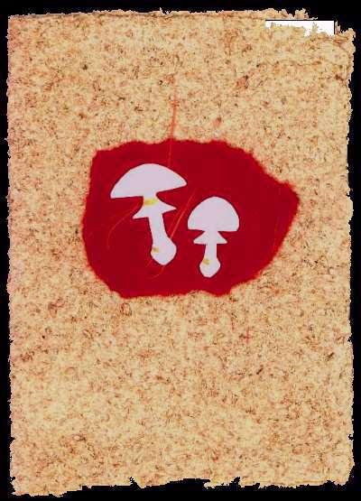Marie Heerkens' Mushroom Art Gallery TO ORDER: Send $7.50 U.S. per card (includes shipping and handling) within the USA. NOTE: NYS residents must include 8.25% sales tax.