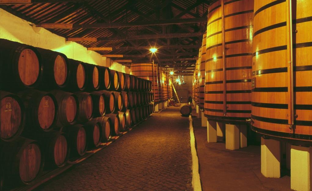 Wine Cellars &