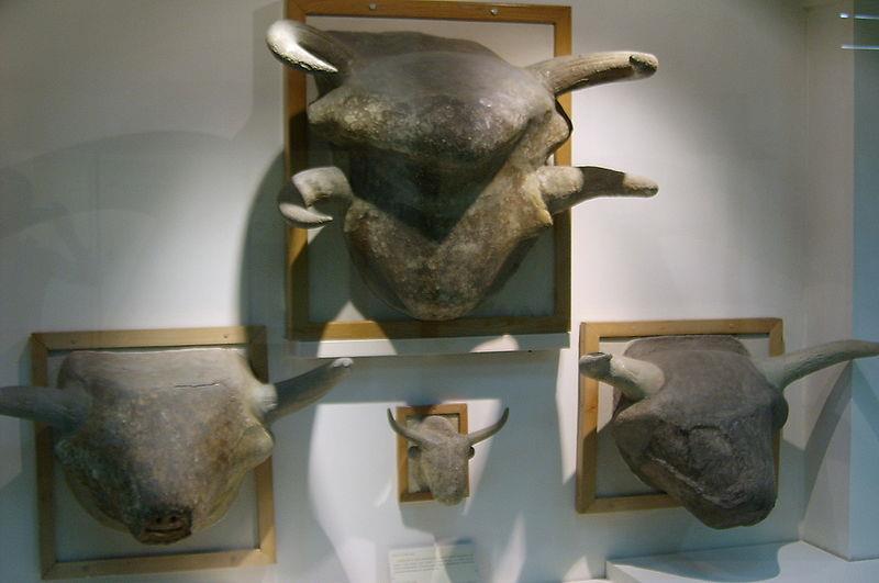 Carvings of bull s heads found in a Neolithic village These resources could be used to make things in their own villages.
