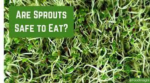 Intro Interest in sprouts as a superfood is growing rapidly due to their palatability