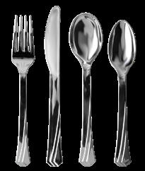 Polished Silver Teaspoons Case/ 24 Unit/ 36 763615817677 CUTLERY COMBO