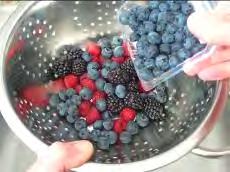 fresh berries
