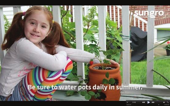 25: Strawberry Containers: Kids love strawberry pots.