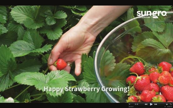 2018 Sun Gro Horticulture Canada Ltd. All Rights Reserved.