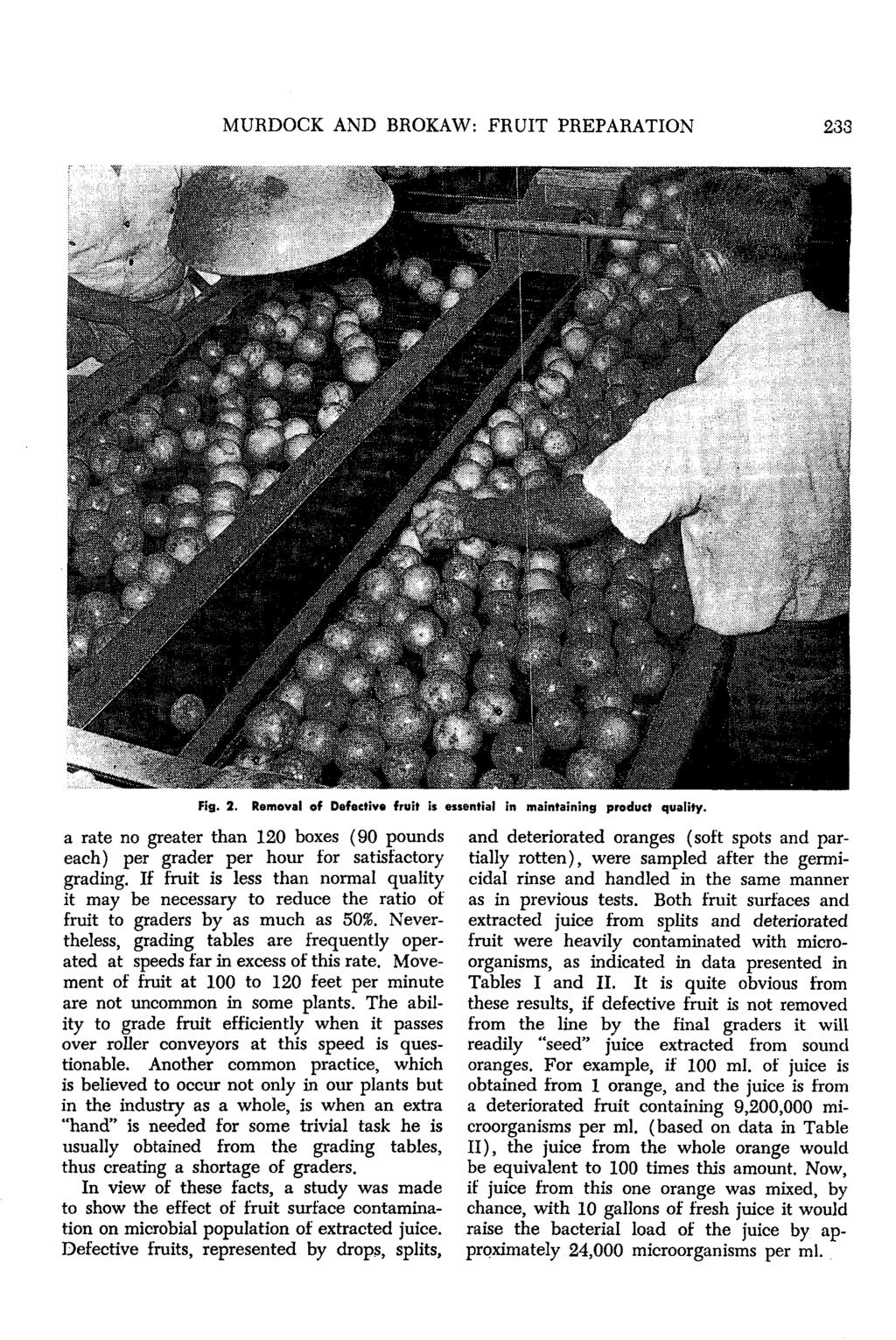 MURDOCK AND BROKAW: FRUIT PREPARATION 233 Fig. 2. Removal of Defective fruit is essential in maintaining product quality.