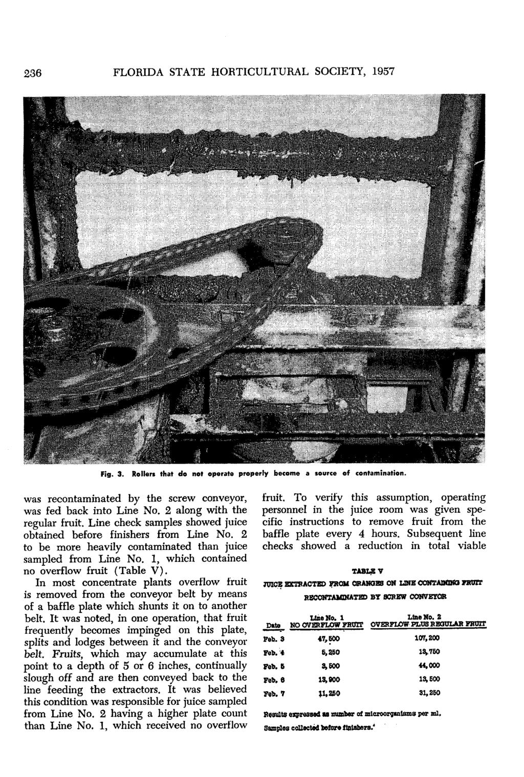 236 FLORIDA STATE HORTICULTURAL SOCIETY, 1957 Fig. 3. Rollers that do not operate properly become a source of contamination. was recontaminated by the screw conveyor, was fed back into Line No.