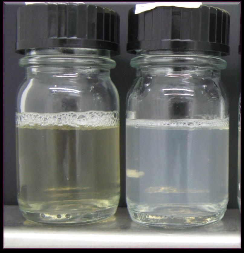 Excellent water hardness tolerance of sophorolipids SDS