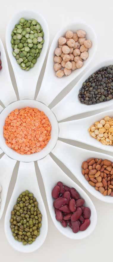 The : Health Powerhouses Pulses are the dry, edible seeds of plants in the legume family. They re a category of superfoods that includes chickpeas, lentils, dry peas, and dry beans.