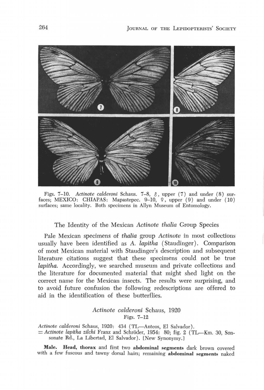 264 JOURNAL OF THE LEPIDOPTERISTS' SOCIETY Figs. 7-10. Actinote calderoni Schaus. 7-8, 3, upper (7) and under (8) surfaces; MEXICO: CHIAPAS: Mapastepec.