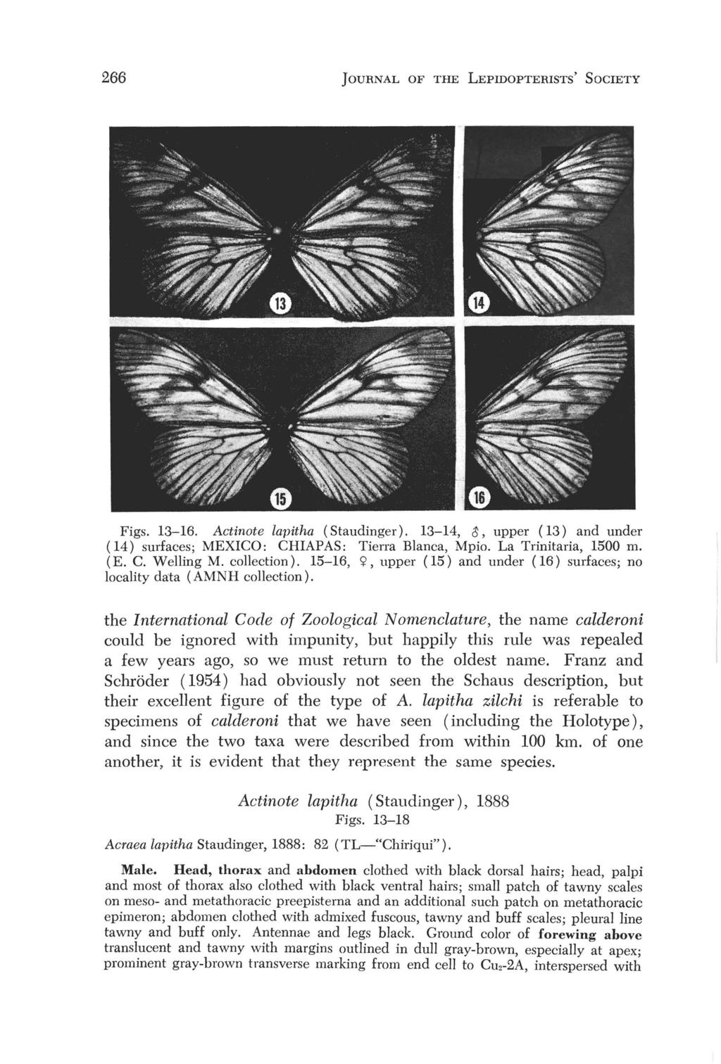 266 JOURNAL OF THE LEPIDOPTERISTS' SOCIETY Figs. 13-16. Actinote lapitha (Staudinger). 13-14, is, upper (13) and under ( 14) surfaces; MEXICO: CHIAPAS: Tierra Blanca, Mpio. La Trinitaria, 1500 m. (E.