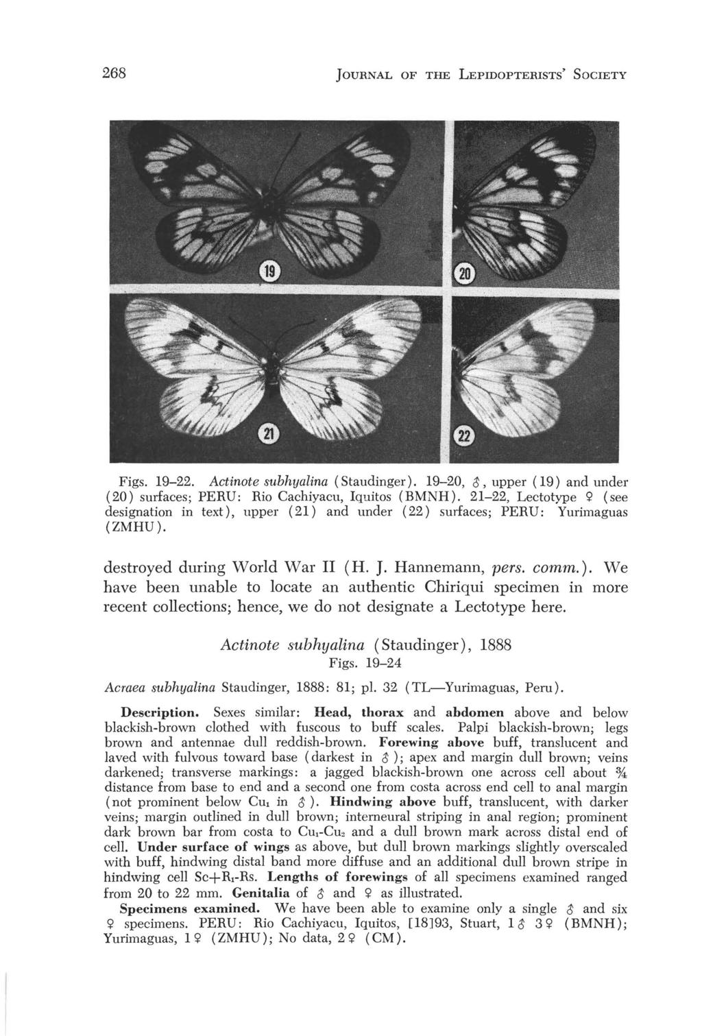 268 JOURNAL OF THE LEPIDOPTERISTS' SOCIETY Figs. 19-22. Actinote stlbhyalina (Staudinger). 19-20, ~, upper (19) and under (20) surfaces; PERU: Rio Cachiyacu, Iquitos (BMNH).