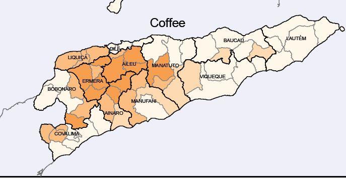 Coffee is Timor-Leste s main non-oil export and is grown by 27.