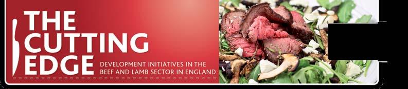DON T BE THICK ABOUT THIN CUTS Mike Whittemore, head of trade marketing at AHDB Beef & Lamb, reveals how research shows that the thin cut beef steak can carve out a distinct and appealing consumer
