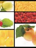es / info@hispagroup.com www.hispagroup.com Products: lemons, oranges, grapefruits, mandarines, tomatoes, lettuces, brócoli, cucumbers, peppers, paprika, peaches, nectarines, olive oil, melons.