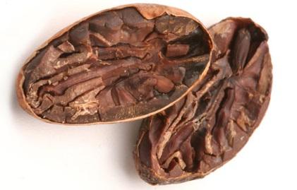 Standards and tools for evaluating cocoa a