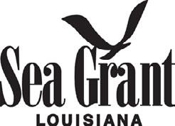 6 For more information, contact your local extension agent: Thu Bui Assistant Extension Agent, Fisheries St. Mary, Iberia, and Vermilion Parishes Phone: (337) 828-4100, ext. 300 tbui@agcenter.lsu.