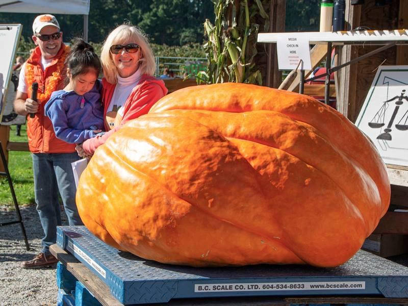 Janet also won the Howard Dill award for the best looking pumpkin. Congratulations Janet and Dave! Contest time again!