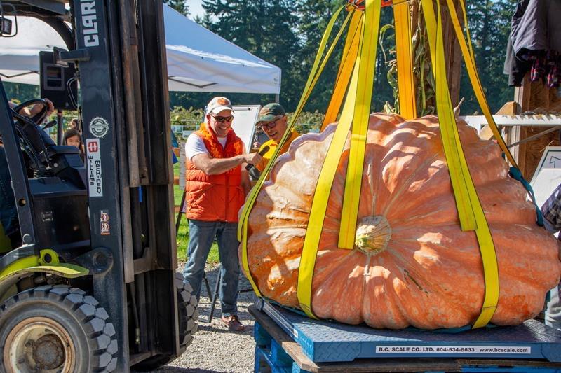The giant pumpkin story.by Alice-Jensen Stanley Botanically speaking, a pumpkin is a fruit since it is the edible reproductive body of a seed plant.