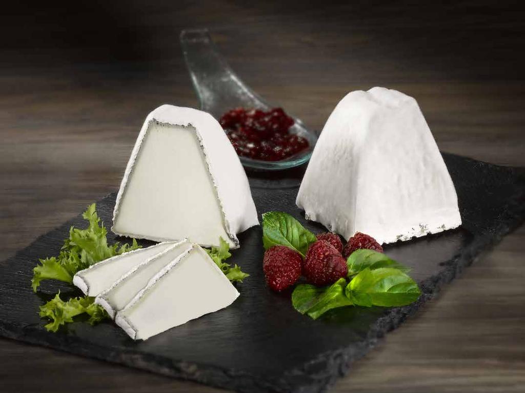 SPECIALTIES PYRAMID OF GOAT CHEESE The packaging and the shape of the