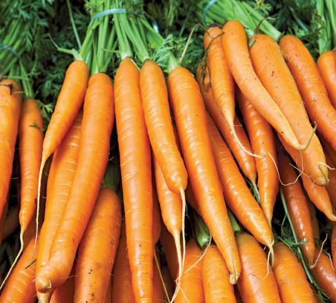 Specification VARIETIES Carrots A-0023 Carrots have a sweet flavor crisp