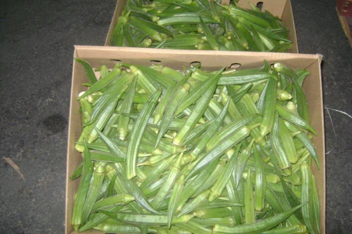 In a 00 gram amount, raw okra is rich (20% or more of the Daily Value, DV) in