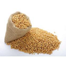 FOOD GRAINS Our product