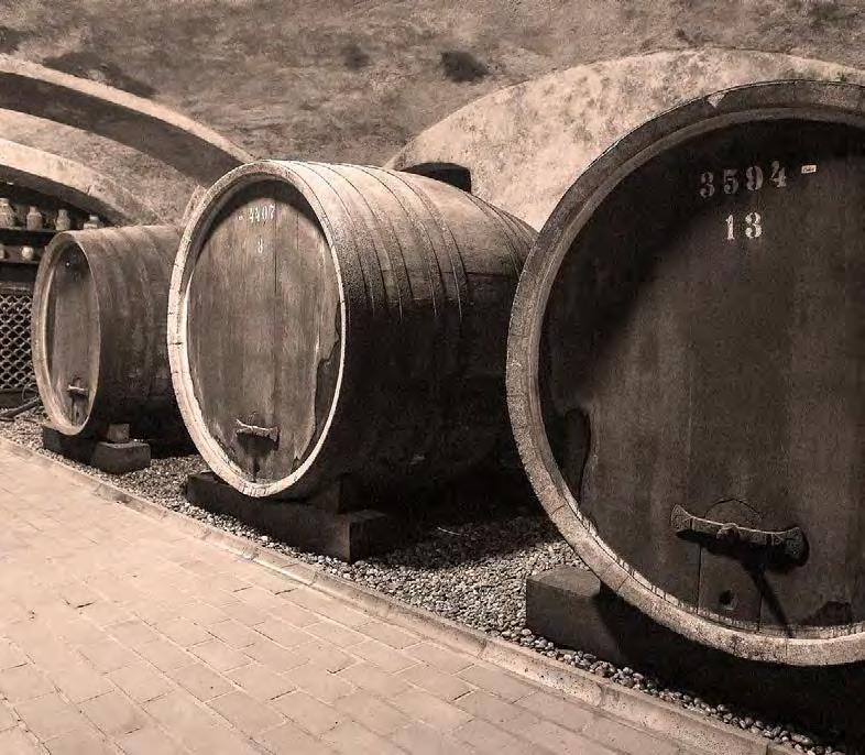 Graševina DARUVAR Razlika između Graševine Daruvar i Graševine Križevci leži u terroiru on se, naime, kod ovih dvaju vina vrlo dobro osjeti.