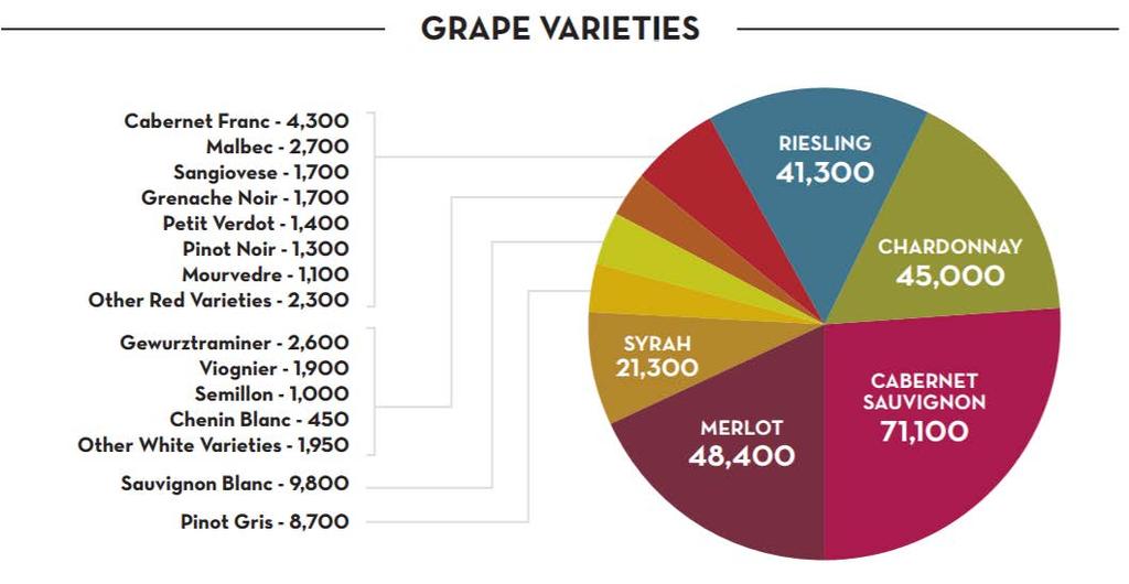 Wine Variety Washington China Sales of Still Red Wine by Grape/Varietal Type: % Total Volume 2016 % total volume 2016.00 Cabernet Franc 10.00 Cabernet Sauvignon 34.30 Cabernet Sauvignon/Shiraz 9.