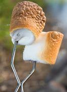 18. Gina's father puts two marshmallows on metal sticks. He holds the marshmallows over a fire. The marshmallows turn brown and begin to melt. What causes the marshmallows to change? A.