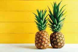 Pineapples do not ripen significantly after harvest. Mezcal is a Mexican alcoholic beverage obtained from a plant called agave (or maguey).