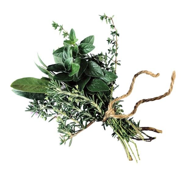 herbs very fine before adding to food Fresh herbs: chop with a Chef s knife, use kitchen scissors Dry herbs: rub between fingers or palms to release flavor Strip leaves off fresh herbs for cooking