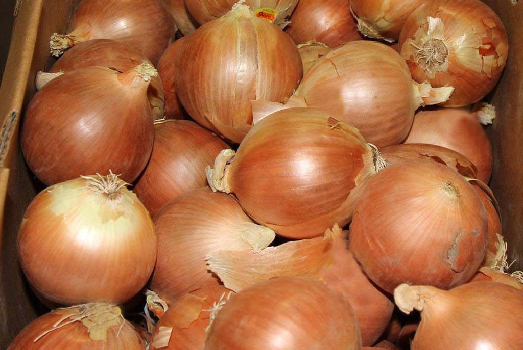 The Onion market is flooded with supply, especially Jumbo Yellow Onions.