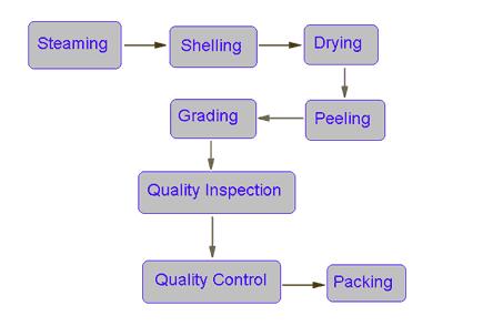 PROCESS FLOW: BOILING PROCESS 1. Steam Cooking 2. Shelling 3. Borma Treatment 4. Humidification 5. Peeling 5. Grading 6. Conditioning 7. Filling & Packing 1.