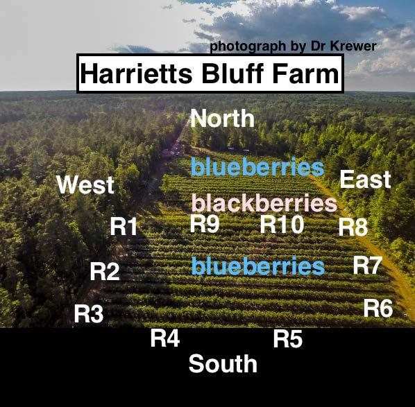 Materials and Methods Blueberry and Blackberry farm 10 regions around the farm 7 different bait samples per each station -> 70