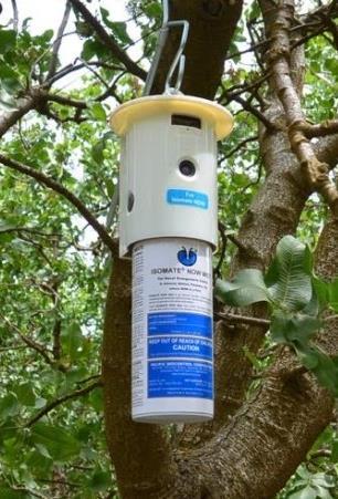 Isomate NOW- Pacific Biocontrol Labeled in 2017 Aerosol dispenser 1 dispenser per acre Submit ranch map to