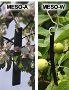 MD products under development Trécé Meso-emitters Passive dispenser system Hang on trees (~20/acre) Field evaluations started System
